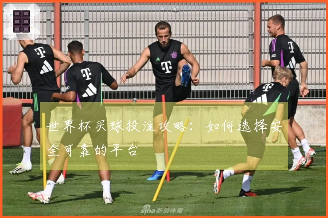 世界杯买球投注攻略：如何选择安全可靠的平台