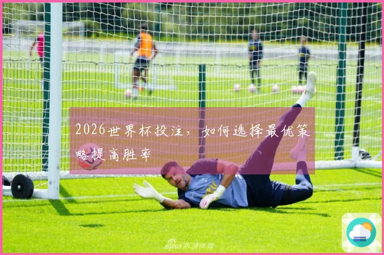 2026世界杯投注，如何选择最优策略提高胜率