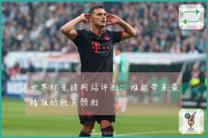 世界杯竞猜网站评测：谁能带来最精准的胜负预测