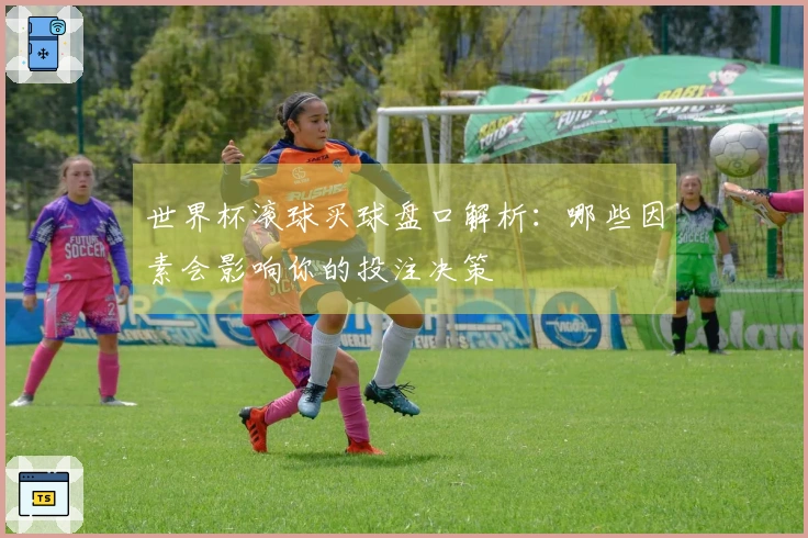 世界杯滚球买球盘口解析：哪些因素会影响你的投注决策