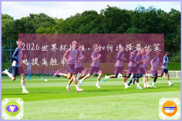 2026世界杯投注，如何选择最优策略提高胜率