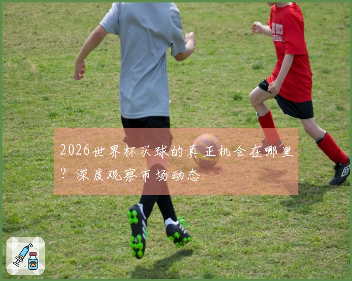 2026世界杯买球的真正机会在哪里？深度观察市场动态