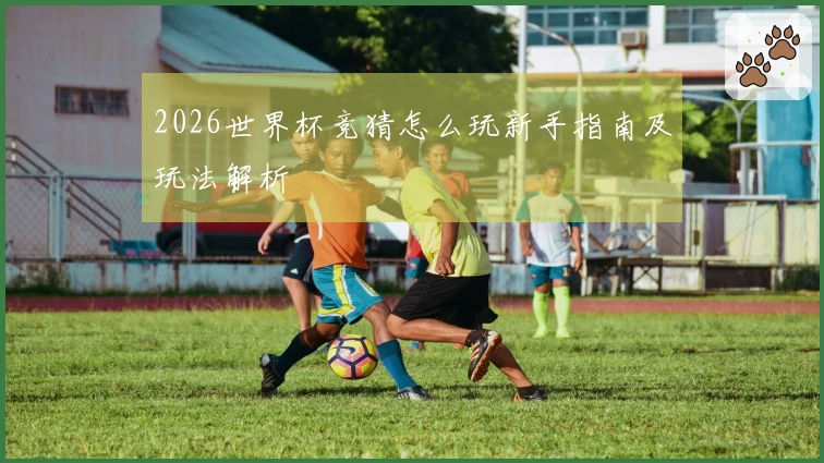2026世界杯竞猜怎么玩新手指南及玩法解析